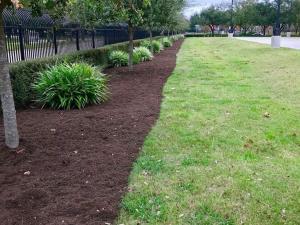 front yard landscape commercial property mulch mulching houston tx 77407
