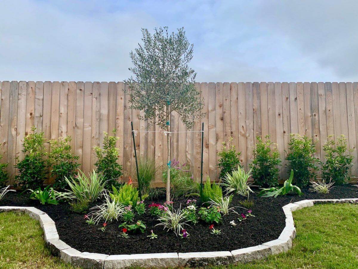 Black Mulch Sale Mulch Delivered Houston, TX 77005