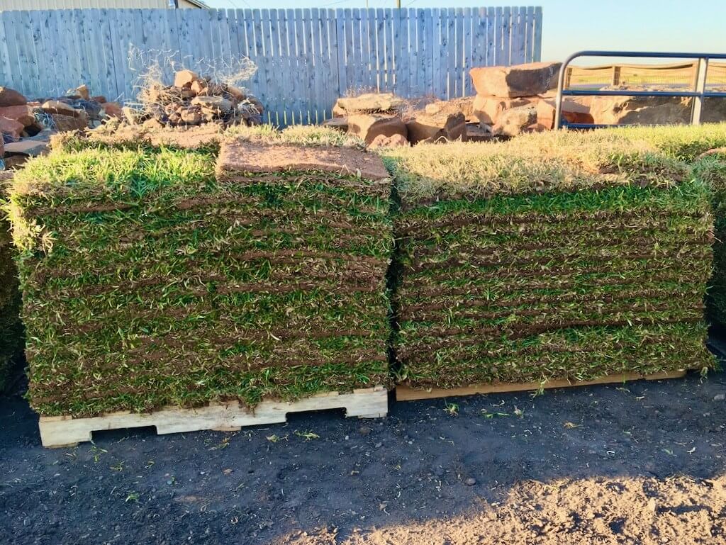 Houston St Augustine Grass for Sale and Sod Installation