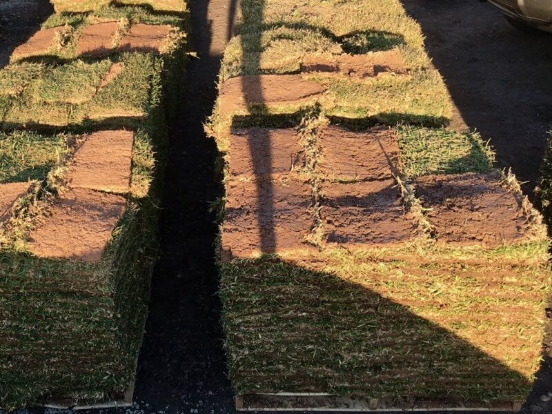 St Augustine Grass For Sale Houston, TX Sod Delivery 77099