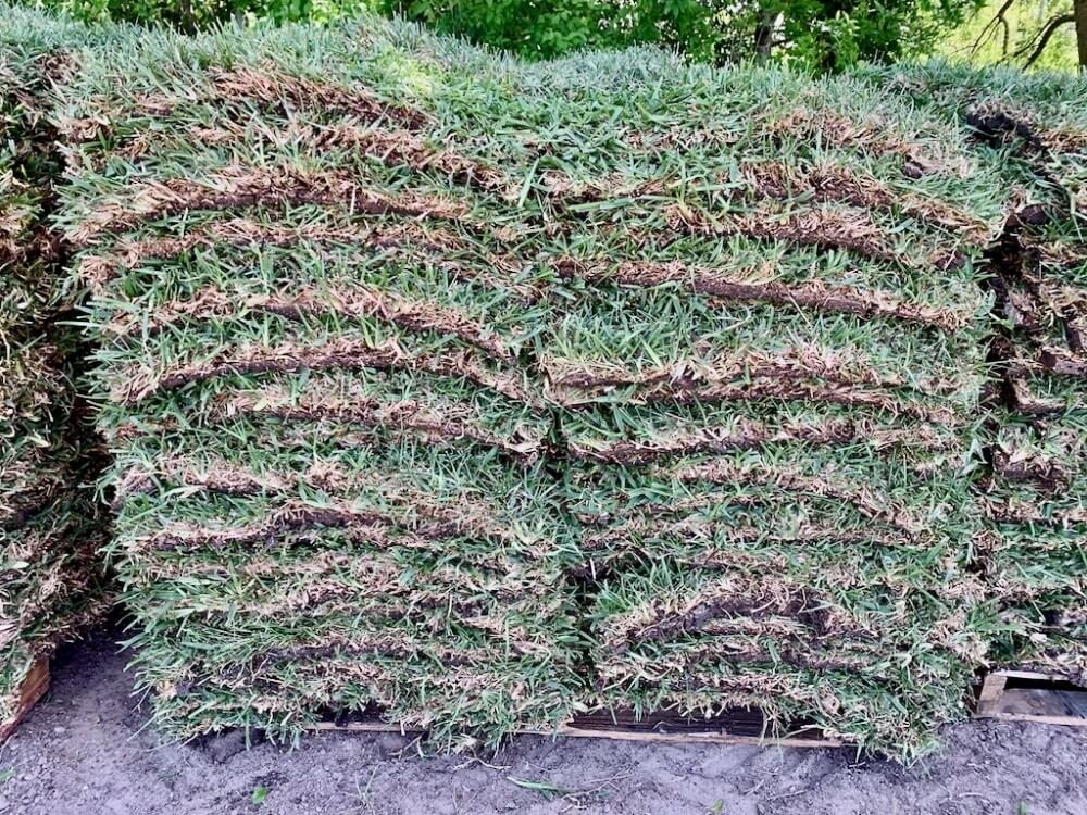 St Augustine Grass For Sale Houston, TX Sod Delivery 77099