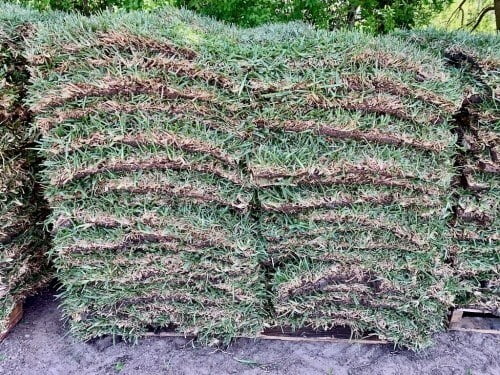 St Augustine Grass Pallet of Sod For Sale Houston, TX
