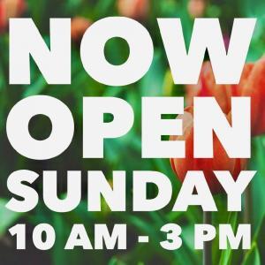 Texas Garden Materials HoustonNow Open Sunday Texas Garden Materials Houston Now Open Sunday