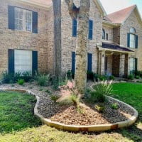 Landscape Design Front Yard Houston, TX