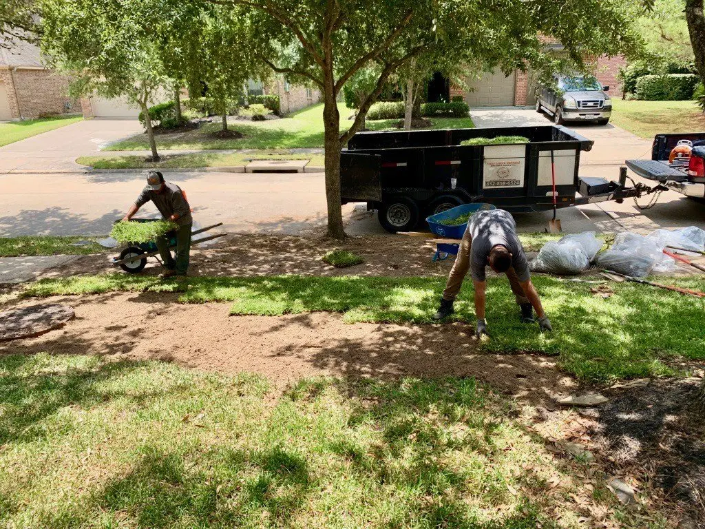 Front yard st augustine grass sod installation