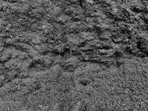 Black Mulch near me
