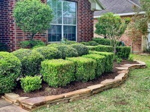 Front Yard Flagstone Landscape Edging Houston