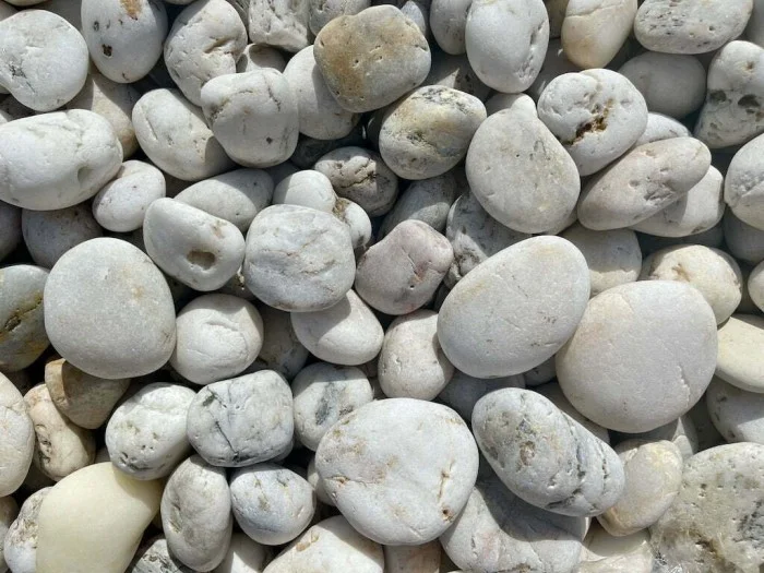 Mexican Beach Pebbles White Houston, TX 77024