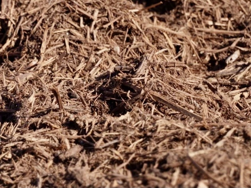 Cedar Mulch Houston Mulch Yard Bellaire, Memorial 77099