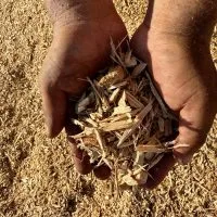 Texas Garden Materials certified playground mulch delivery and installation in Houston. Safe, soft, kid-friendly mulch for schools, parks, and residential play areas.